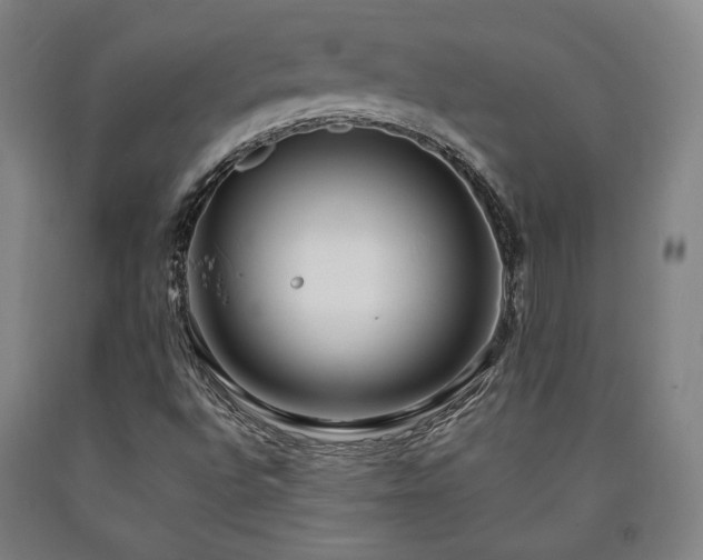 X0000090901496200707301401