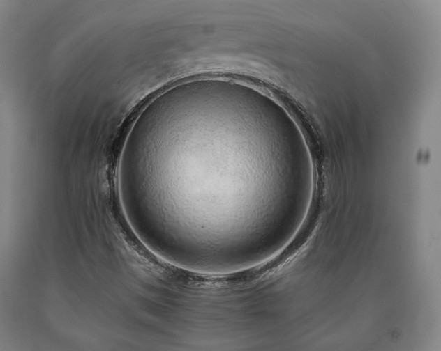 X0000090901497200707301401