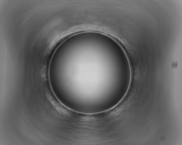 X0000090901499200707301401