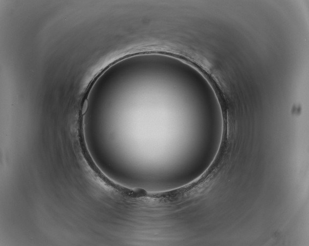 X0000090901500200707301402