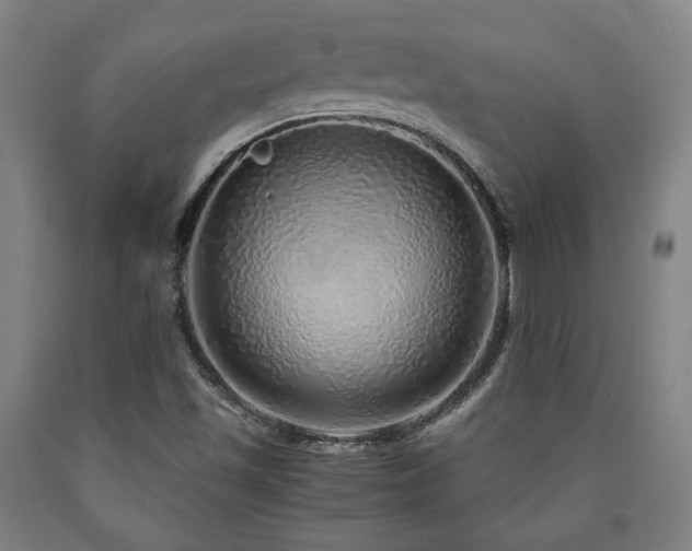 X0000090901501200707301402