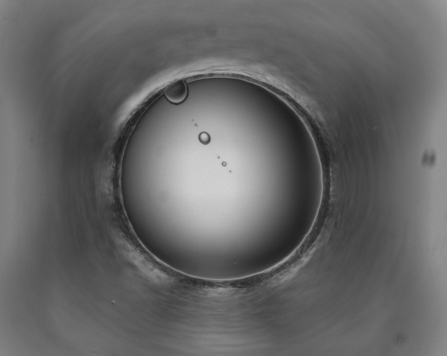 X0000090901502200707301402