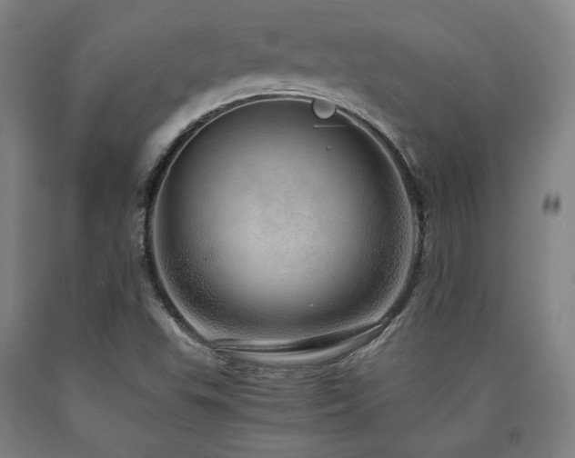 X0000090901503200707301402