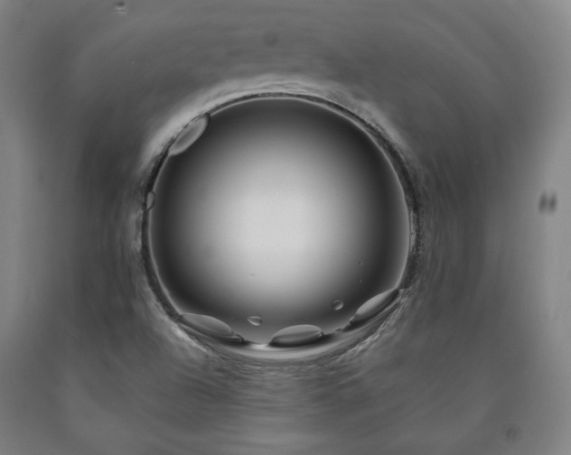 X0000090901504200707301402
