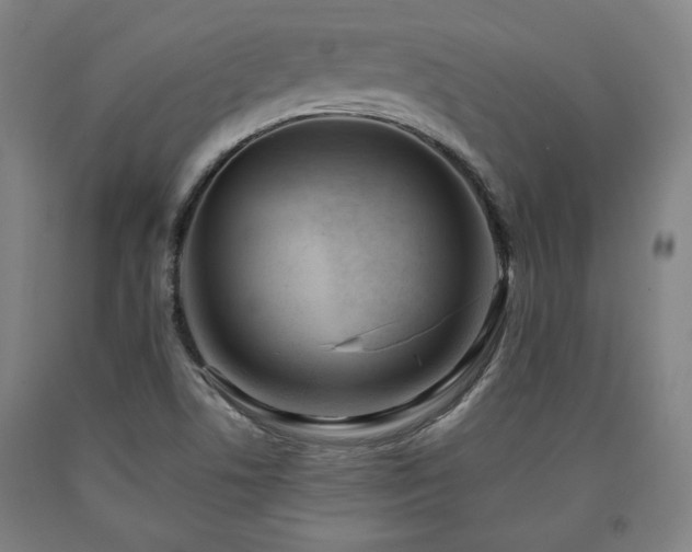 X0000090901506200707301402