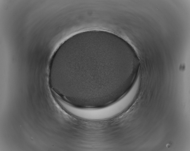 X0000090901508200707301402