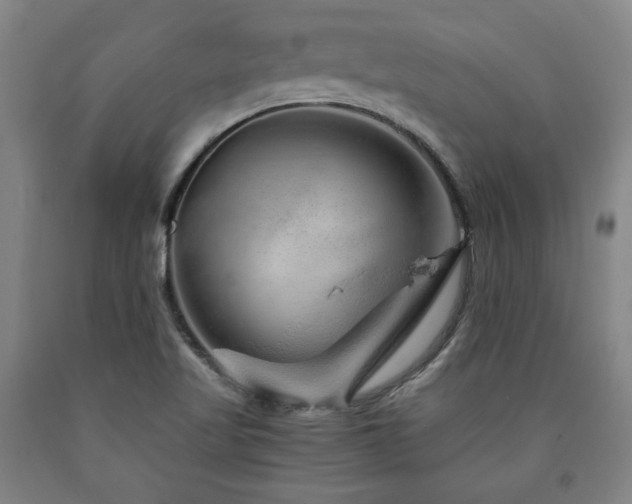 X0000090901509200707301402
