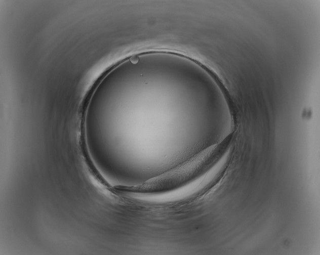 X0000090901511200707301402