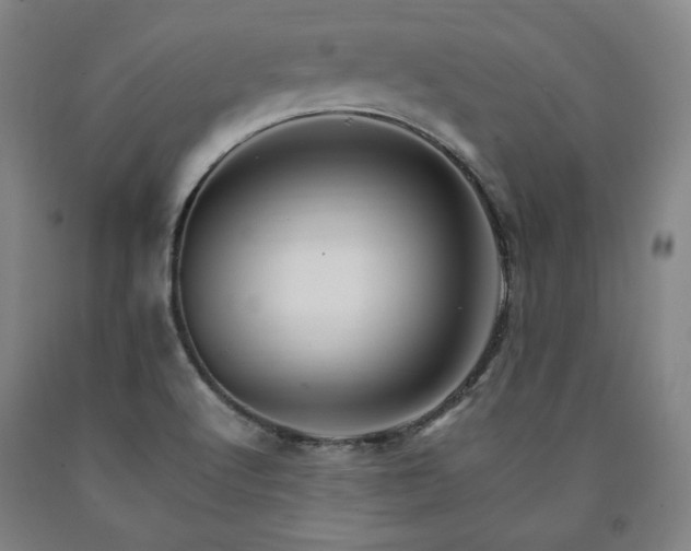 X0000090901512200707301402
