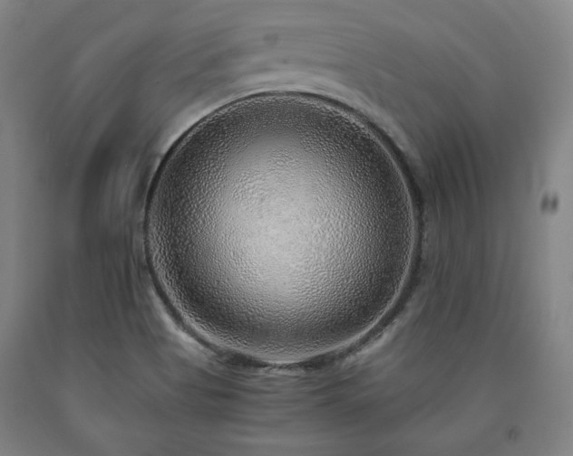 X0000090901513200707301402