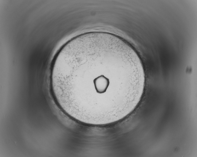 X0000090901514200707301402