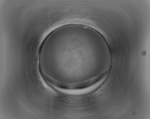 X0000090901515200707301402