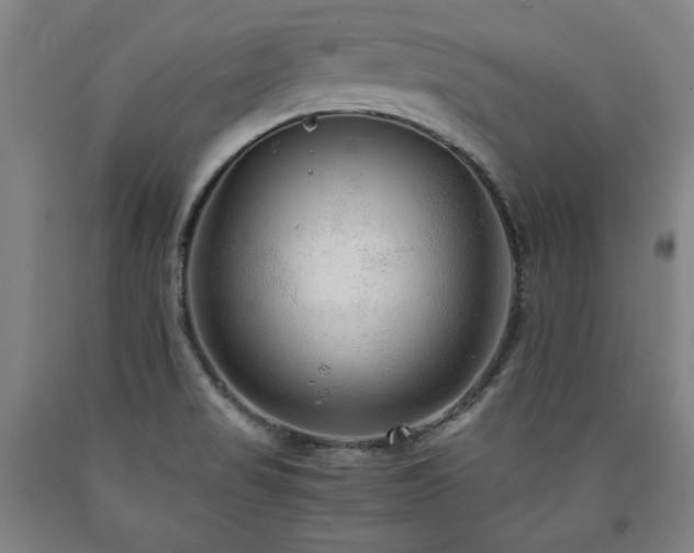 X0000090901517200707301402