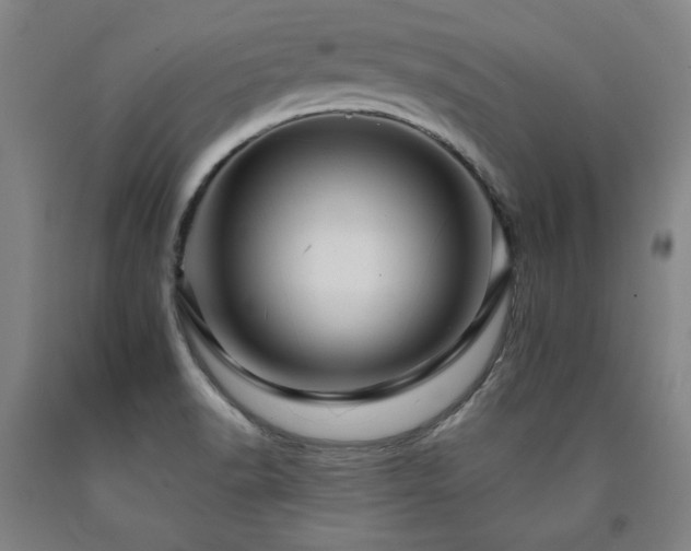 X0000090901518200707301402