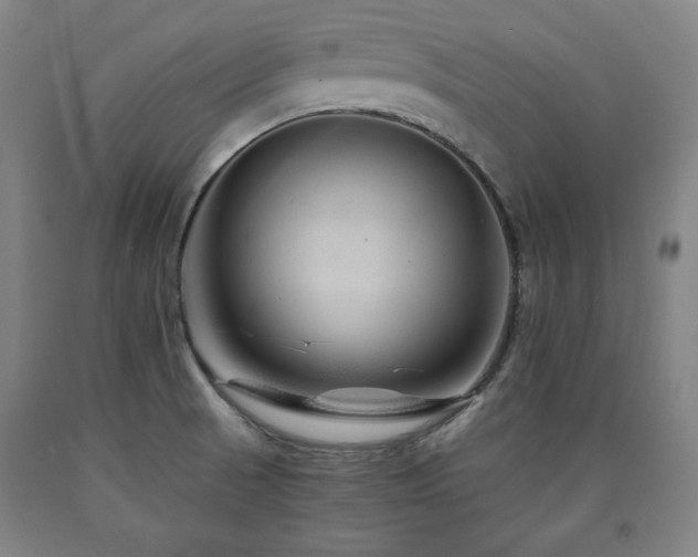 X0000090901521200707301402