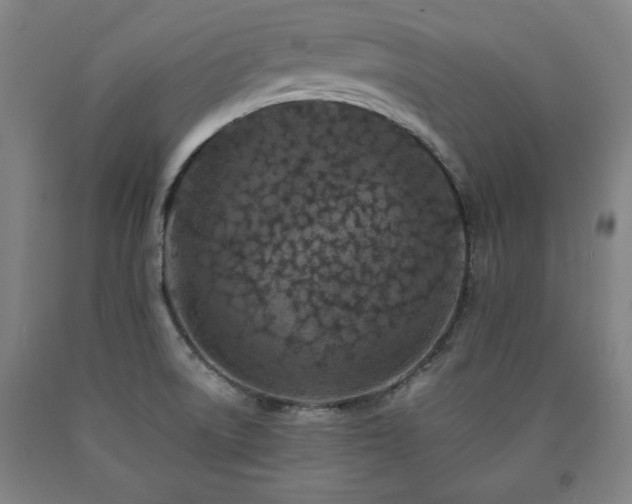 X0000090901522200707301402