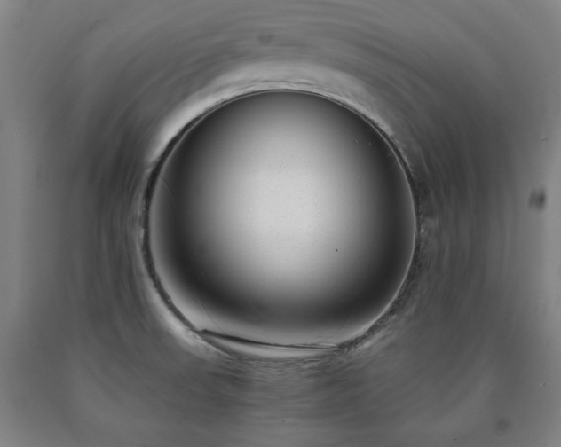X0000090901523200707301402