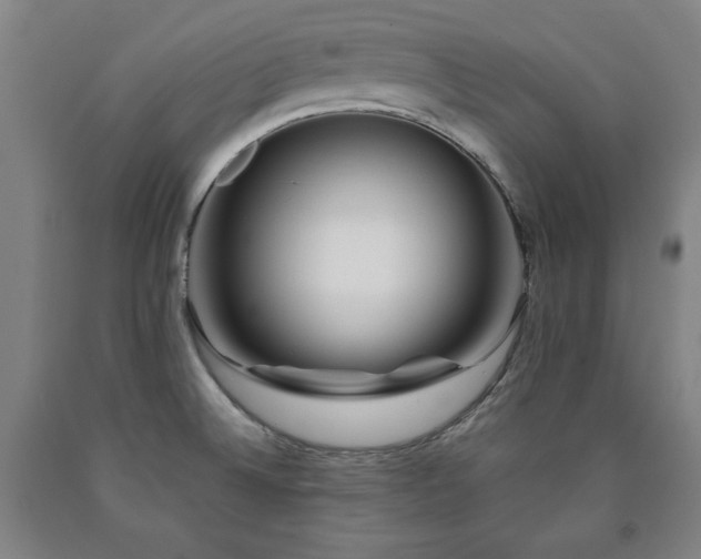X0000090901524200707301402