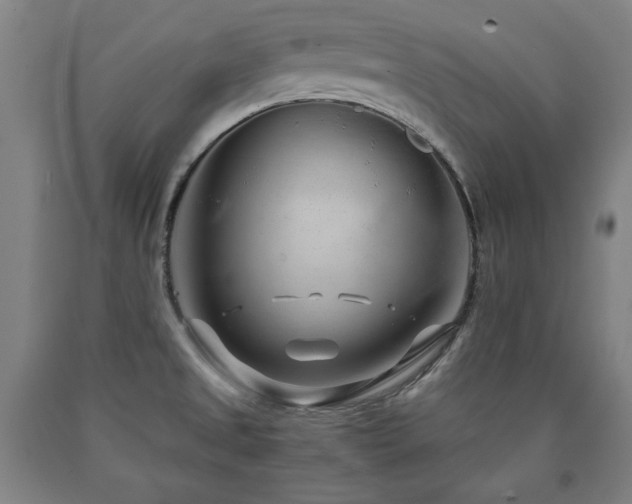 X0000090901525200707301402
