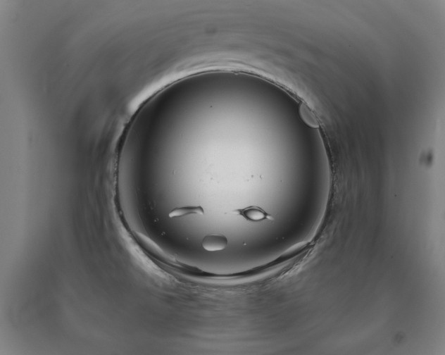 X0000090901526200707301402