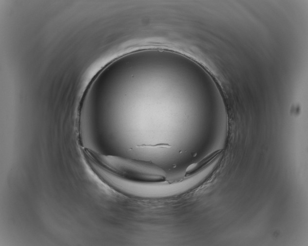 X0000090901527200707301402