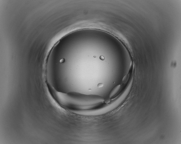 X0000090901528200707301402