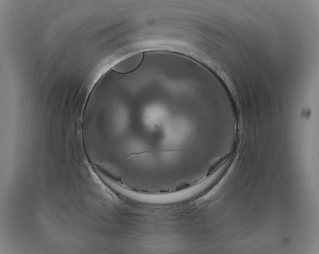 X0000090901529200707301402