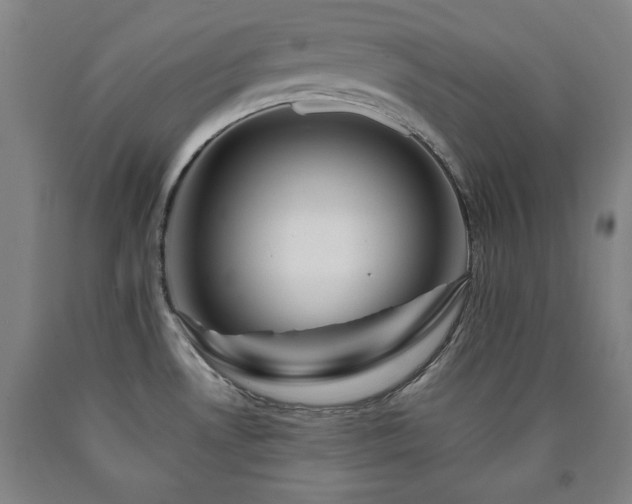 X0000090901530200707301402