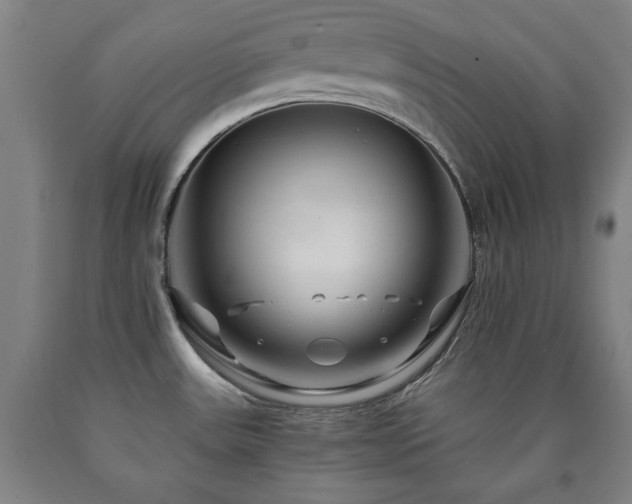 X0000090901531200707301402