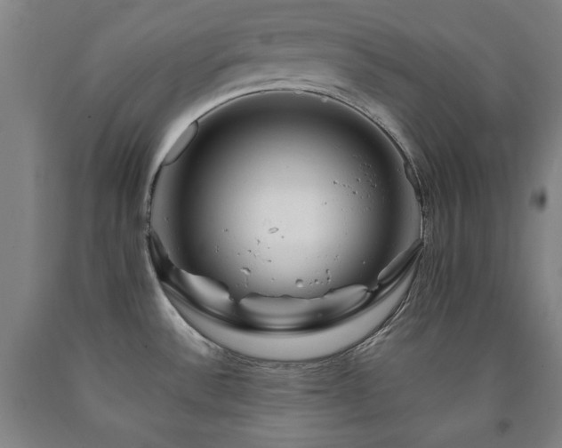 X0000090901532200707301402