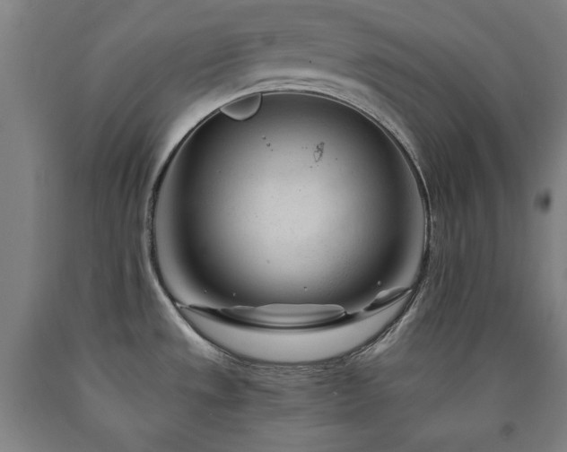 X0000090901533200707301402
