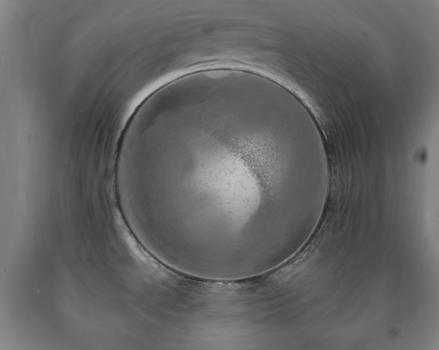 X0000090901534200707301402