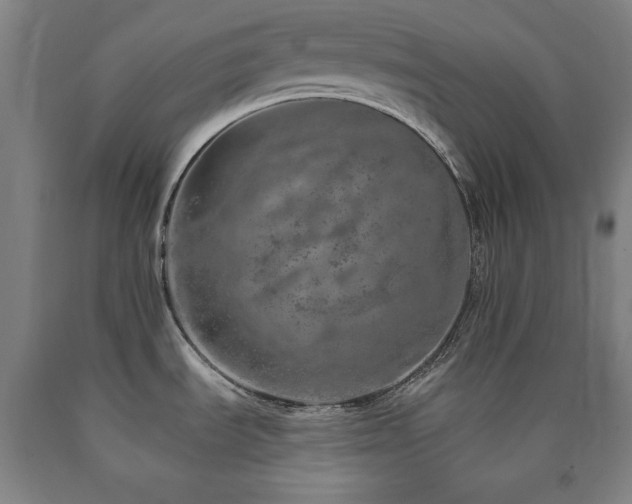 X0000090901535200707301402