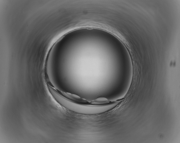 X0000090901536200707301402