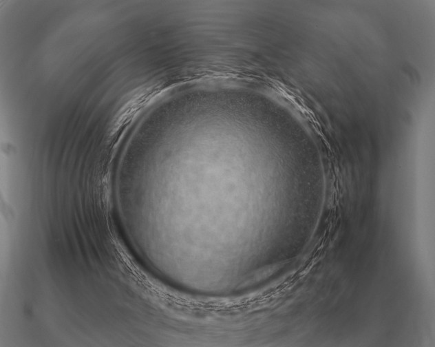 X0000090900002200708061512