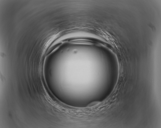 X0000090900003200708061512