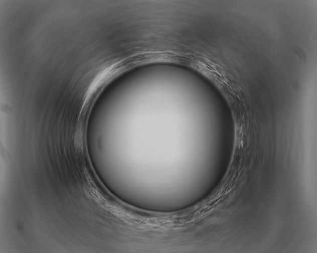 X0000090900004200708061512