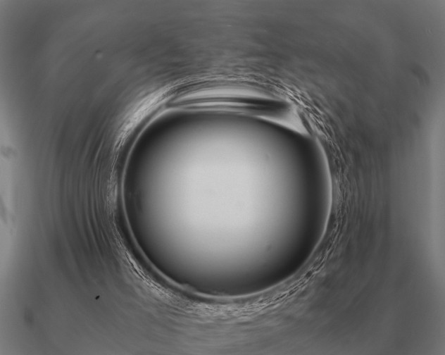 X0000090900005200708061512