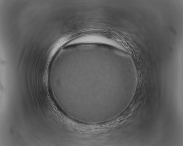 X0000090900006200708061512