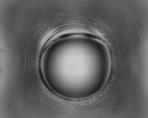 X0000090900007200708061512