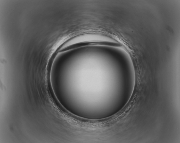 X0000090900008200708061512