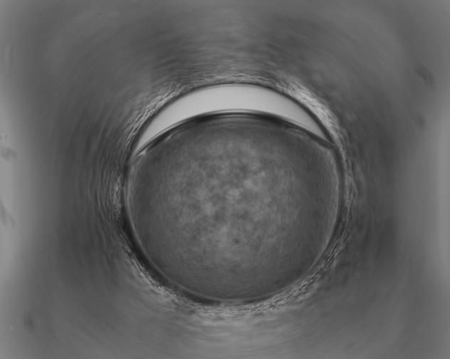 X0000090900009200708061512