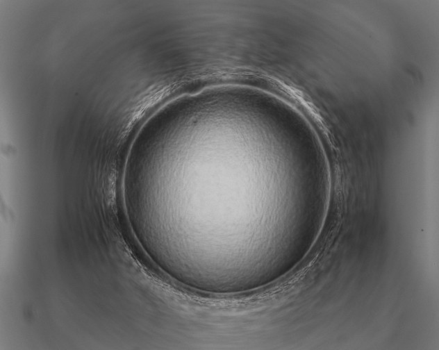 X0000090900010200708061512