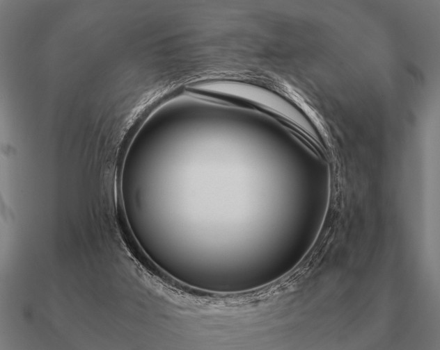 X0000090900011200708061512