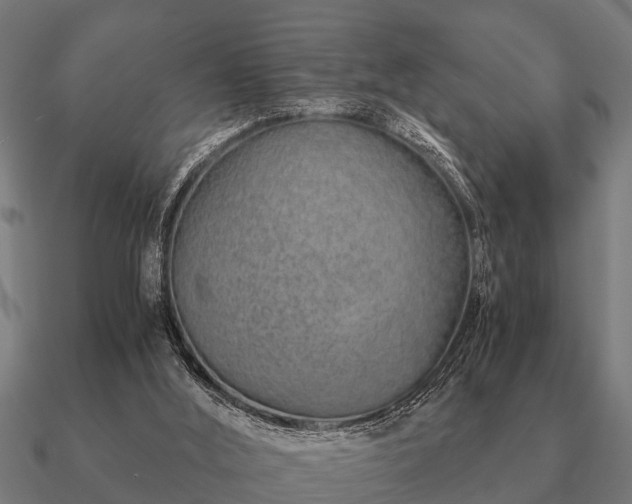 X0000090900012200708061512