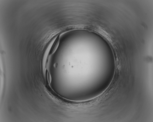 X0000090900013200708061512