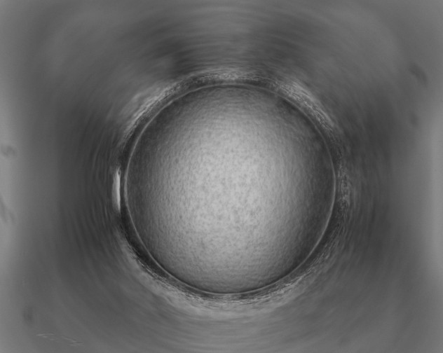 X0000090900014200708061512