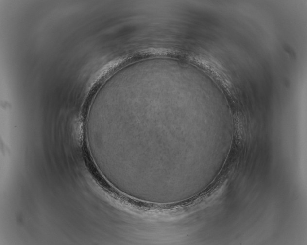 X0000090900016200708061512