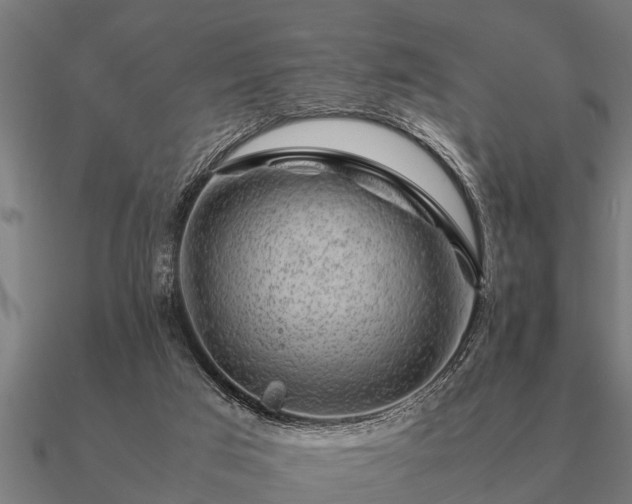 X0000090900017200708061512