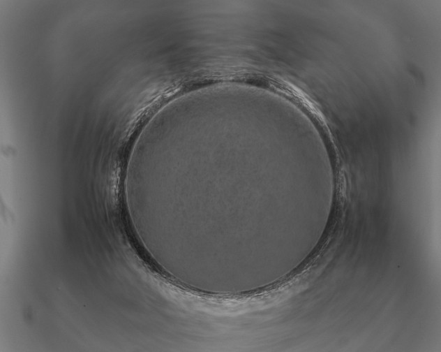 X0000090900018200708061512